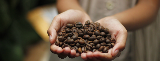 best Vietnamese coffee by Mr. Viet